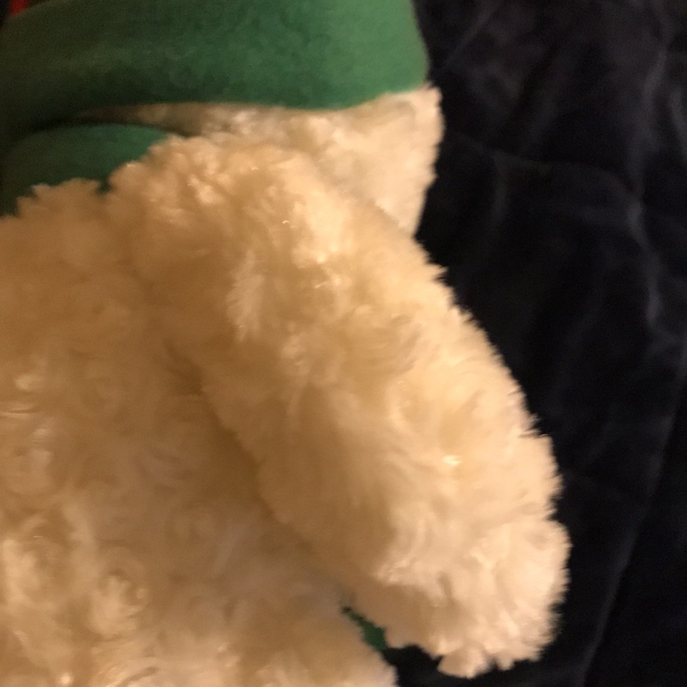 Teddy bear - Picture 15 of 16